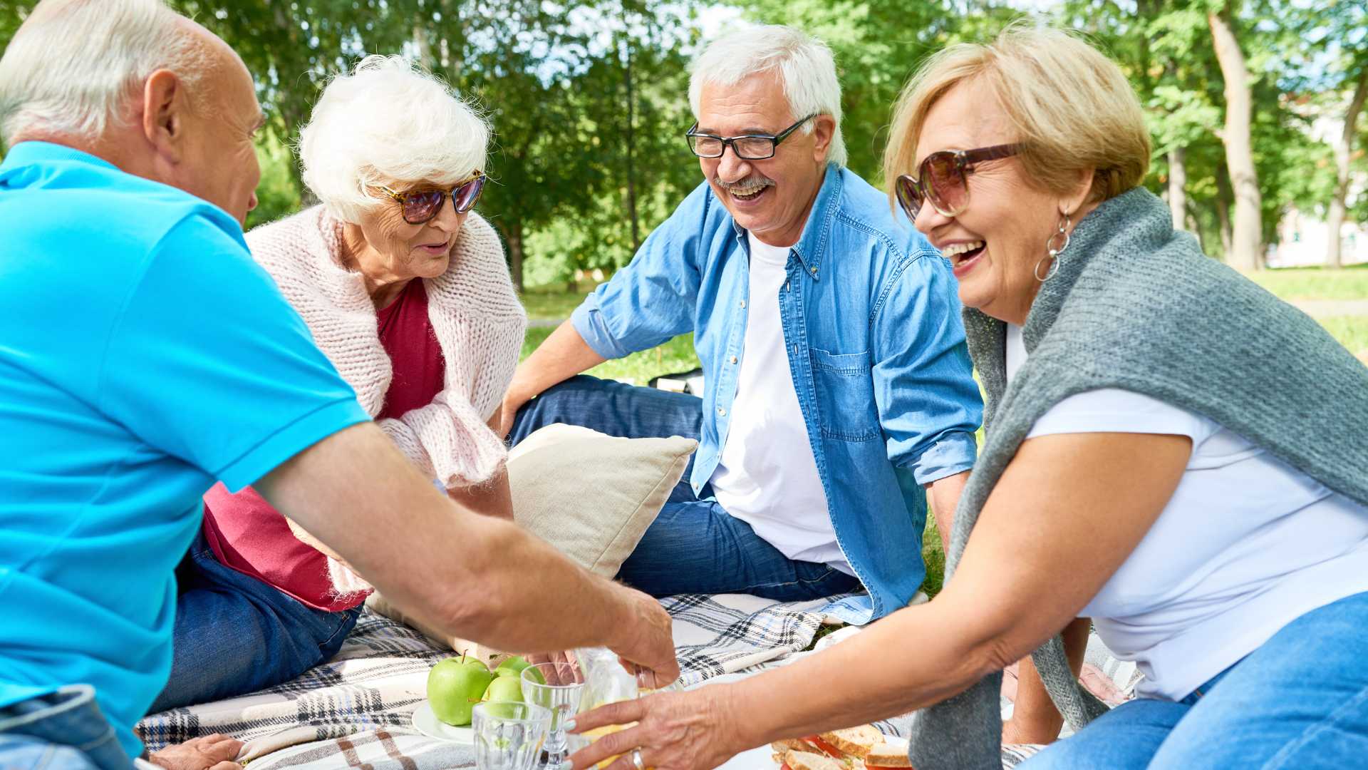 group of seniors enjoying a picnic